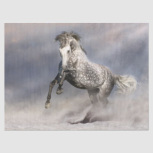 Andalusian Dapple Grey Horse Tissue Paper