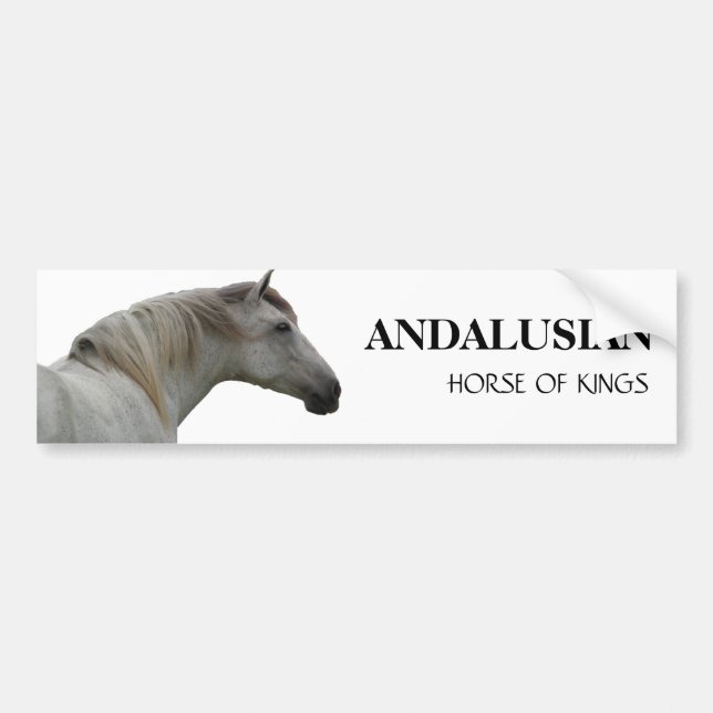 ANDALUSIAN HORSE 2 BUMPER STICKER (Front)