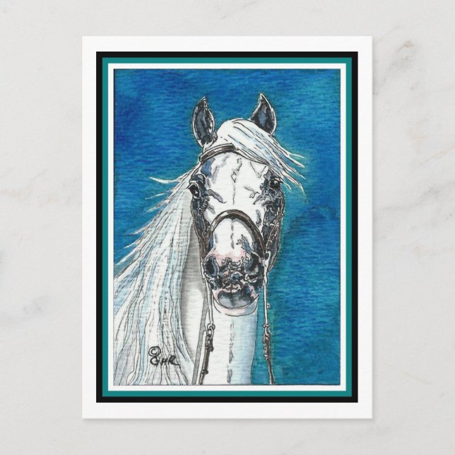 Andalusian Horse Art Postcard (Front)