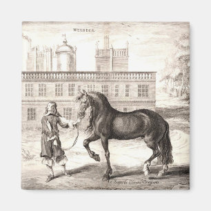Andalusian PRE Horse Vintage Engraving Fine Art Magnet