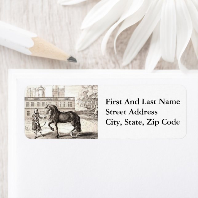 Andalusian PRE Horse – Vintage Spanish Engraving (Insitu)