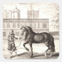 Andalusian PRE Horse – Vintage Spanish Engraving