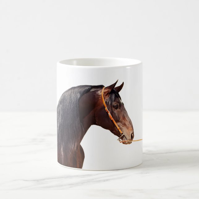 andalusian stallion at white coffee mug (Center)