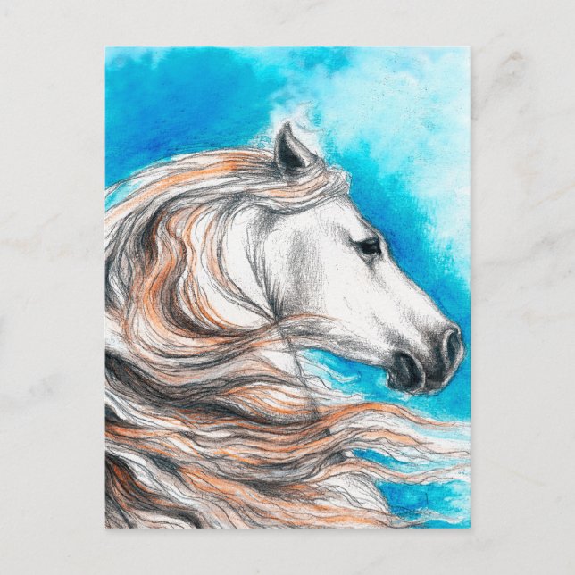 Andalusian Stallion Horse Postcard (Front)