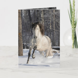 Andalusian Stallion in the Forest - Greeting Card
