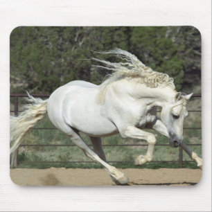 Andalusian Stallion running, PR Mouse Mat