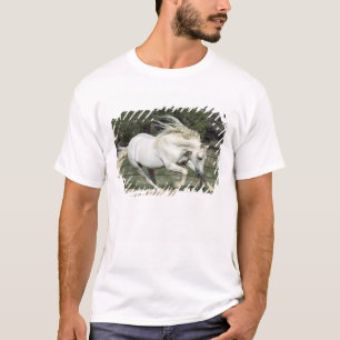 Andalusian Stallion running, PR T-Shirt