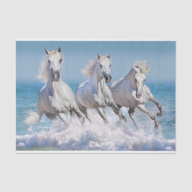 Andalusian White Horses Tissue Paper (Front)