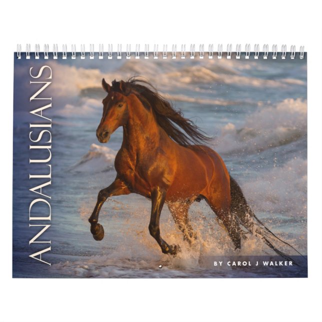 Andalusians by Carol J Walker Horse Calendar (Cover)