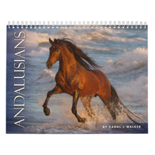 Andalusians by Carol J Walker Horse Calendar