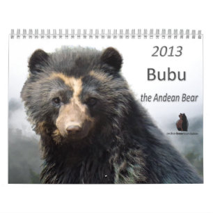 Andean Bear Foundation Calendar 2013