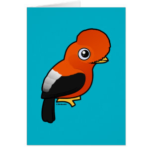 Andean Cock-of-the-rock