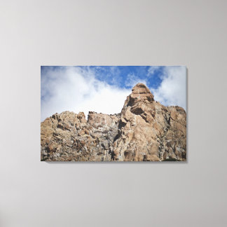 Andean Mountains Canvas Print