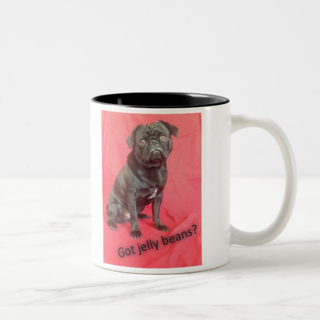 Anderson Pooper, the laziest but cutest Pug! Two-Tone Coffee Mug (Right)