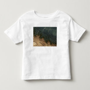 Andes Mountains Toddler T-Shirt