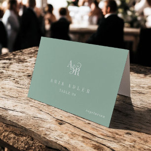 ANDREA Sage Green Minimal Wedding Place Cards
