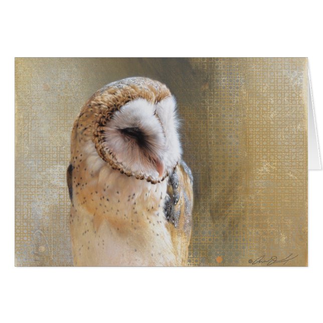 Andrew Denman Barn Owl Blank Card (Front Horizontal)