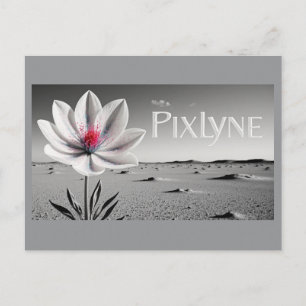 Andrew Goodchild Post Card