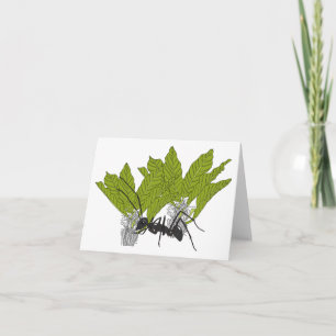 Andrew the ant card