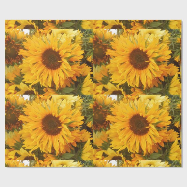 Andriola Wrapping Paper (Flat)