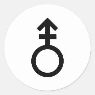 Androgyne Gender Symbol Classic Round Sticker