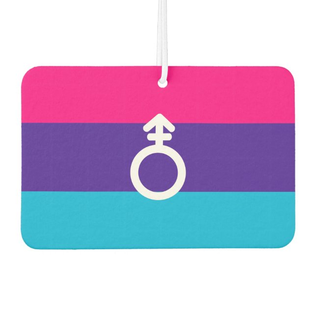 Androgyne Pride Car Air Freshener (Front)