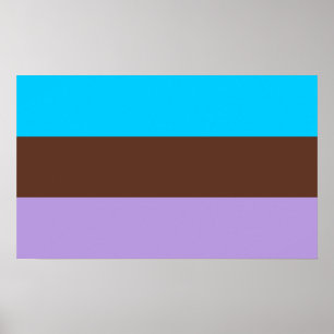 Androsexual Pride Poster