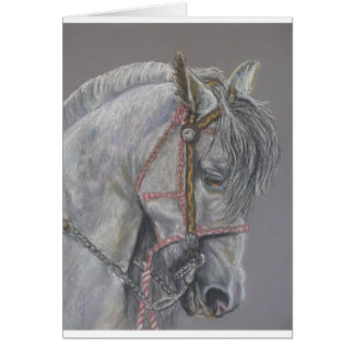 Andualusian Horse Card