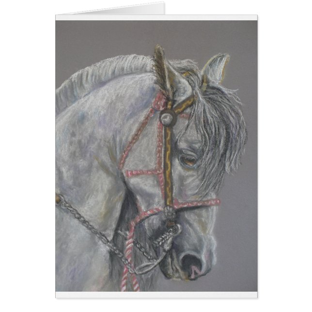 Andualusian Horse Card (Front)