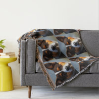 Andy The Australian Blue Heeler,