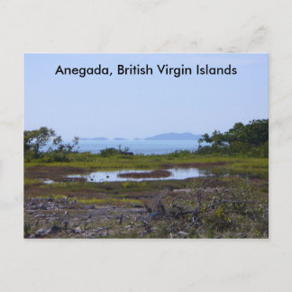Anegada BVI Postcard