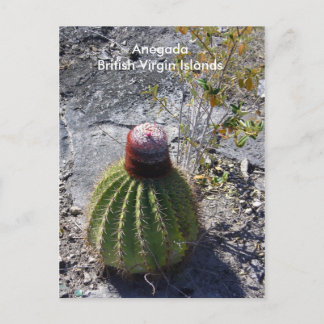 Anegada BVI Postcard