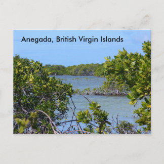 Anegada BVI Postcard