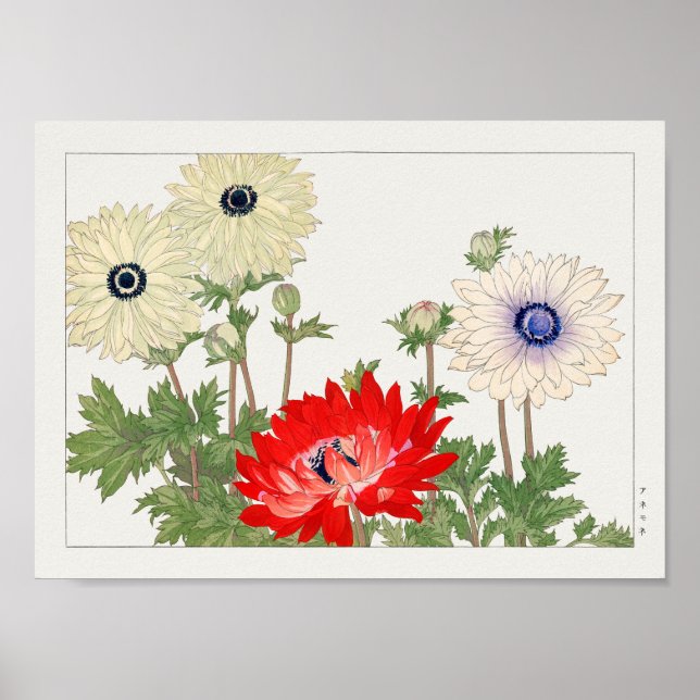 Anemone by Tanigami Konan Poster (Front)