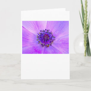 Anemone, card