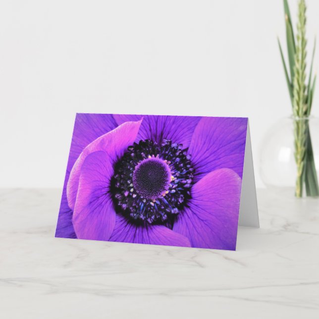 Anemone, card (Front)