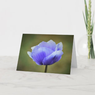 Anemone, card