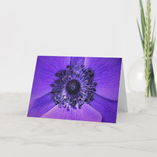 Anemone, card