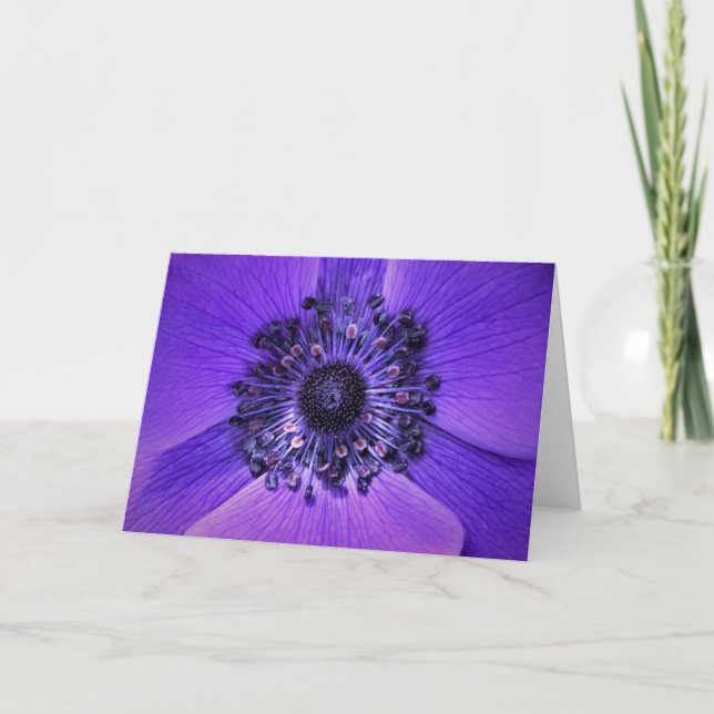 Anemone, card (Front)