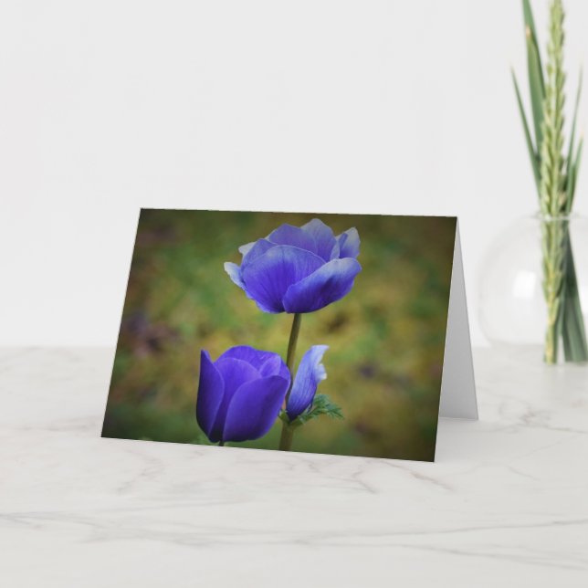 Anemone, card (Front)