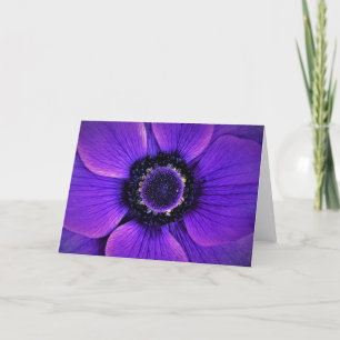 Anemone, card