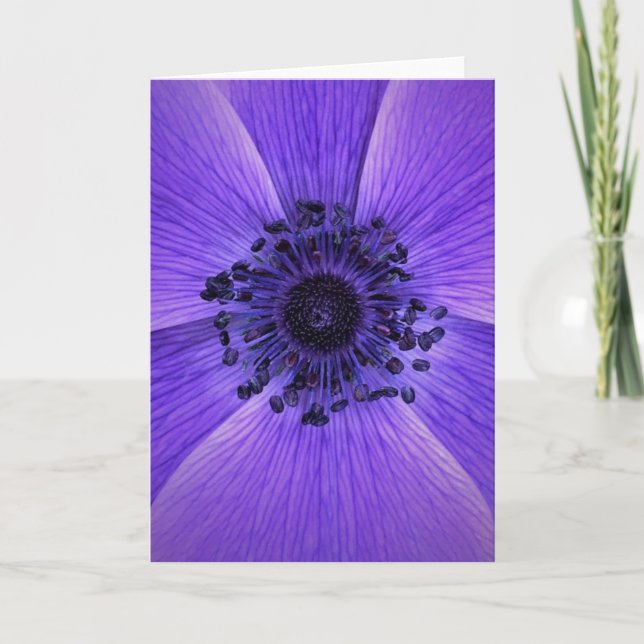 Anemone, card (Front)