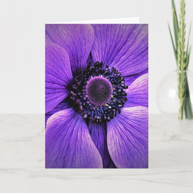 Anemone, card (Front)