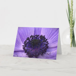 Anemone, card