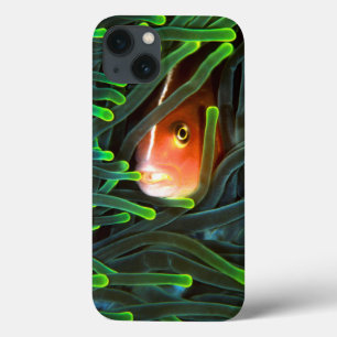Anemone Fish Hiding In Anemone, Mozambique iPhone 13 Case
