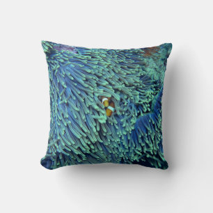 Anemone Fish Sea Marine Life Ocean Cushion