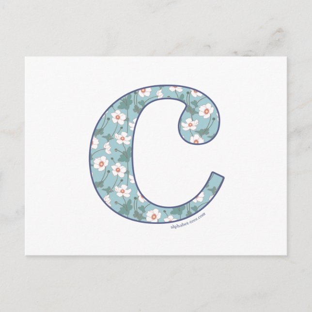 Anemone Flower C Postcard (Front)