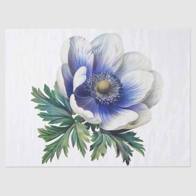 Anemone Flower Tissue Paper (Front)