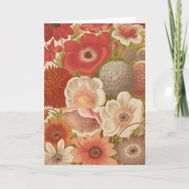 Anemone | George Nicholson Card (Front)