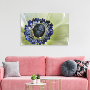 Anemone Mistral Panda Canvas Print